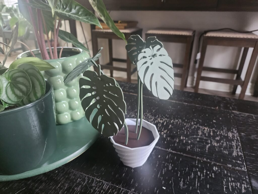 Držači za čaše – Monstera motiv – 3D štampano