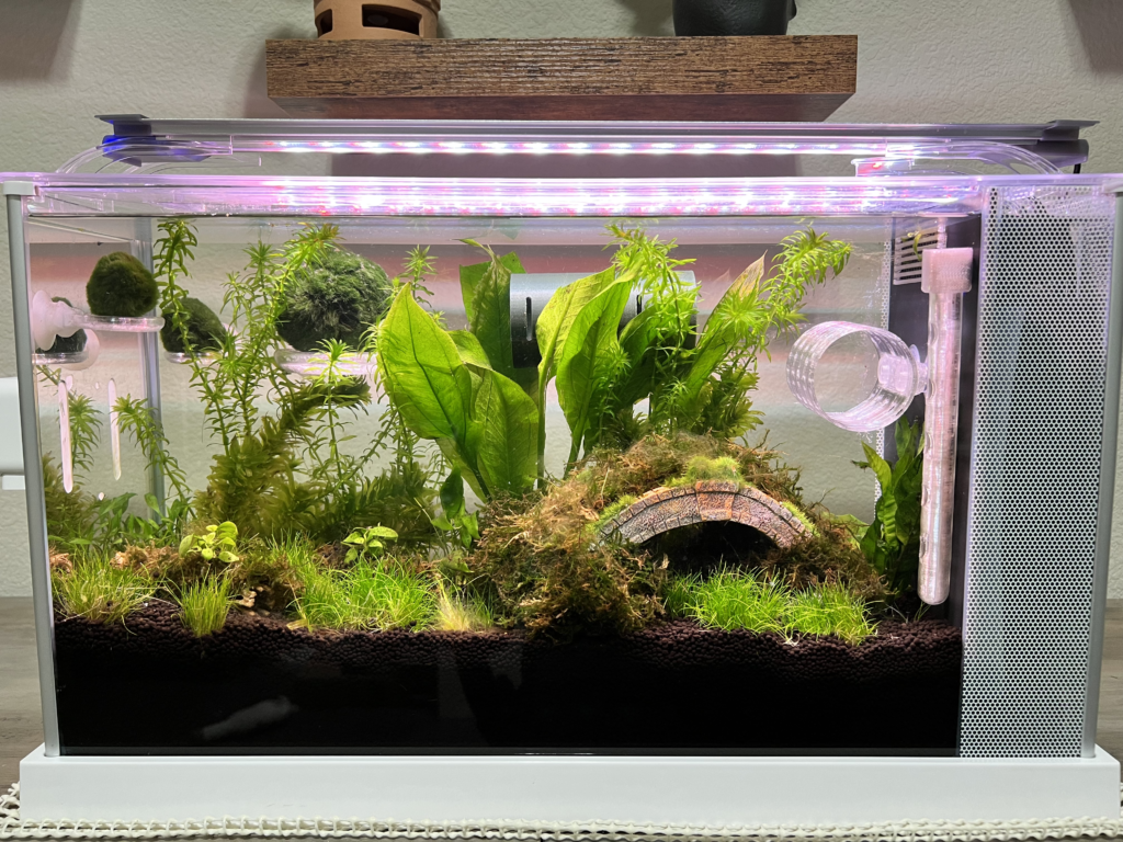 Skrivač za akvarijume sa ribicama – 3D štampano