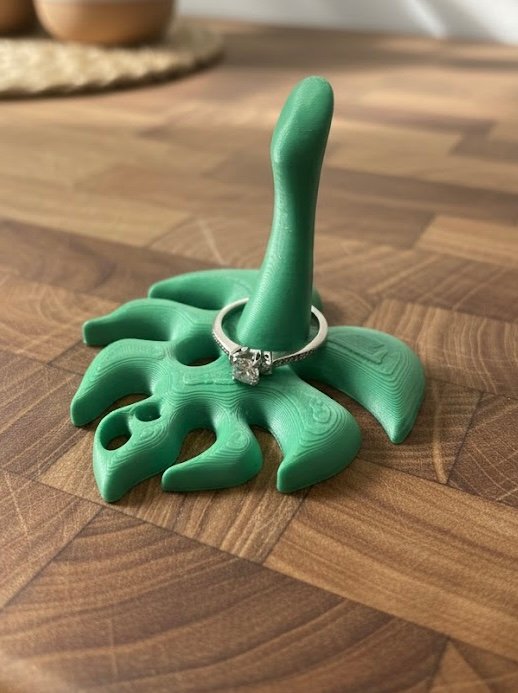 Držač za prstenje, jednostavan otisak – 3D štampano