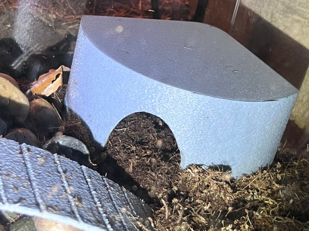 Skrivač za mlade žabe i slične – 3D štampano